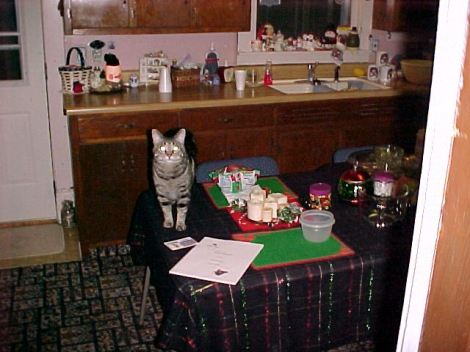 copyright Scott L Vannatter