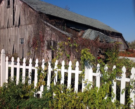 Copyrigth Janet Webb