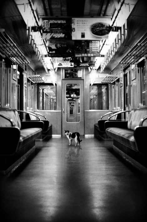 tumblr_meoa1ys0JS1r0ixdro1_500