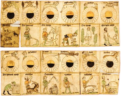 Picture from Wikimedia Commons