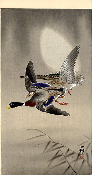 Mallards and Moon by Ohara Koson