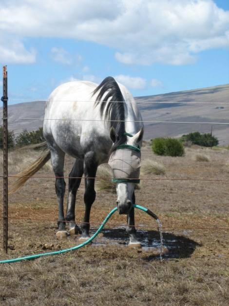 Copyright Douglas M. MacIlroy