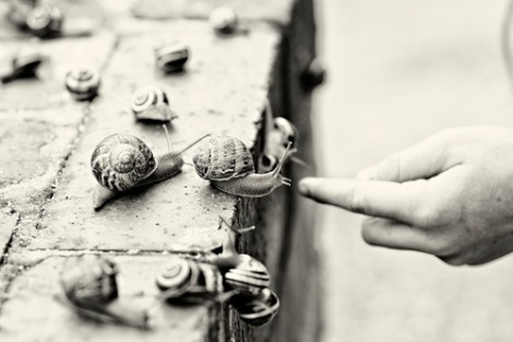 tumblr_mddqetyX191qzwhyzo1_500