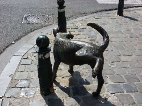 Picture from Wikimedia Commons