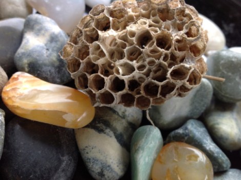 Copyright Janet Webb