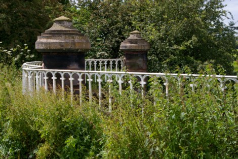 Copyright Sarah Ann Hall