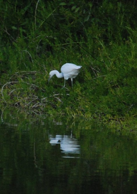 copyright Björn Rudberg