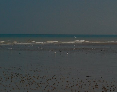 Copyright Björn Rudberg