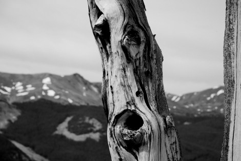 Copyight Björn Rudberg