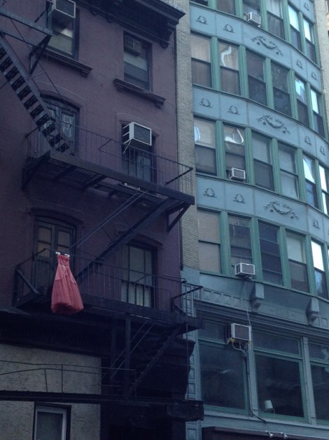 Copyright Janet Webb