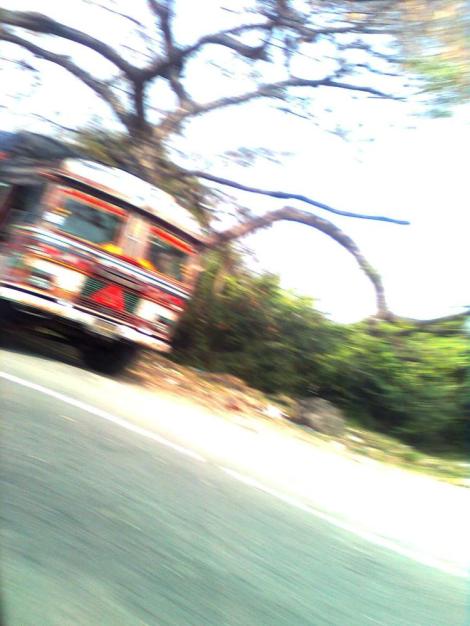 Copyright Indira through Scott Vanatter