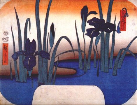Iris by Hiroshige