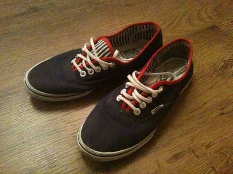 Picture from Wikimedia Commons