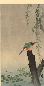 Kingfisher by Ohara Koson 