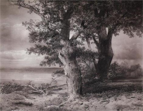 Oaks on the shore by Aleksey Savrasov