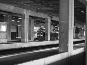 Picture from Wikimedia commons