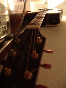 Picture from Wikimedia Commons