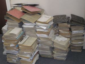 Picture from Wikimedia Commons