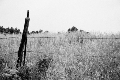 Copyright Björn Rudberg