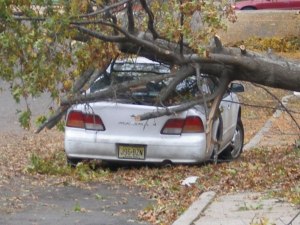 Copyright – Roger Bultot