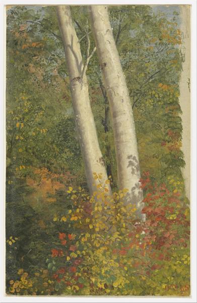 Birch trees in Autumn by Frederic Edwin Church