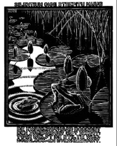 Frog by M.C. Esher