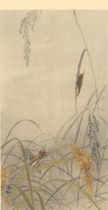 Grasshoppers on rice-plants by Ohara Koson