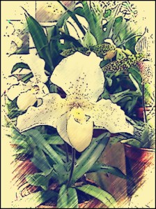 Copyright Bjorn Rudberg