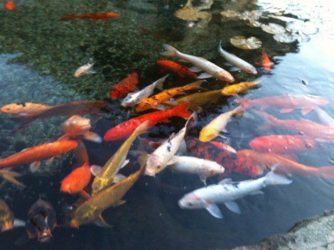 Copyright – Douglas M. MacIlroy