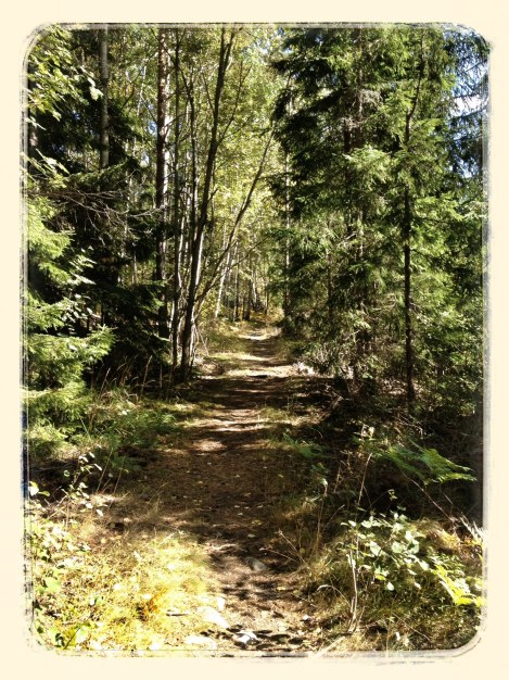 Copyright Björn Rudberg