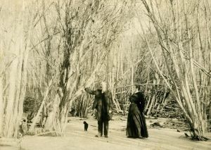  Elderly Couple in the woods from Wikimedia Commons