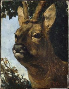 Head of a young doe, by Gustave Courbet