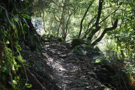 Mountain path - Madeira - Copyrtight B- Rudberg