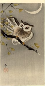 Owl on ginkgo branch (Scops owl under crescent moon) by Ohara Koson