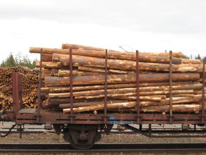 From Wikimedia Commons