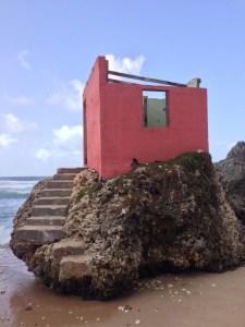 Copyright Dawn O. Landau