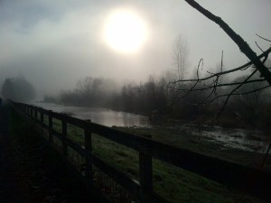 Copyright Erin Leary