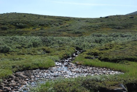 Copyright - Björn Rudberg