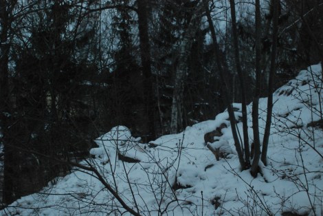 Picture from my bedroom window