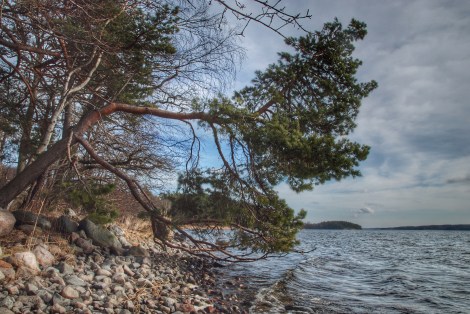 Picture taken during a walk yesterday.