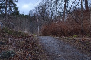 Picture taken a few weeks ago close to where I live.