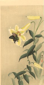 Butterfly and Lily by Ohara Koson
