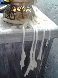 Copyright Renee Heath