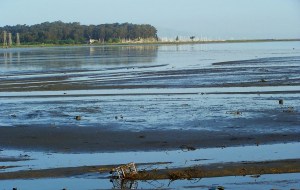  Copyright -B. W. Beacham