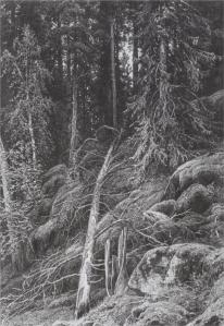 Taiga by Ivan Shishkin