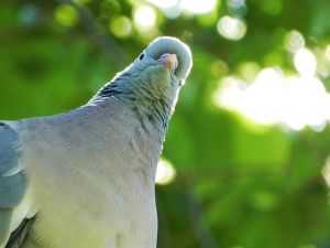 Picture Erik Stålfors