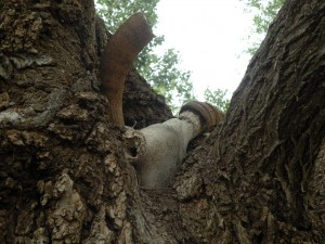 Copyright Madison Woods