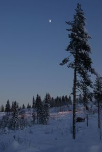 From wikimedia commons