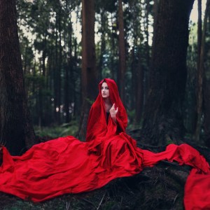 Waiting for her wolf by Joel Robison