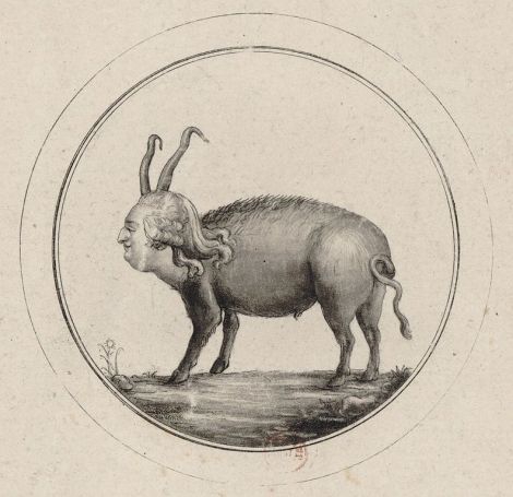 A denverhog from Wikimedia Commons